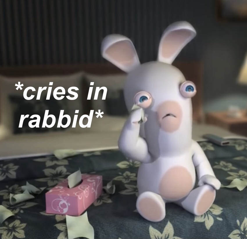 Rabbid Meme 1 by CinderHollow13 on DeviantArt