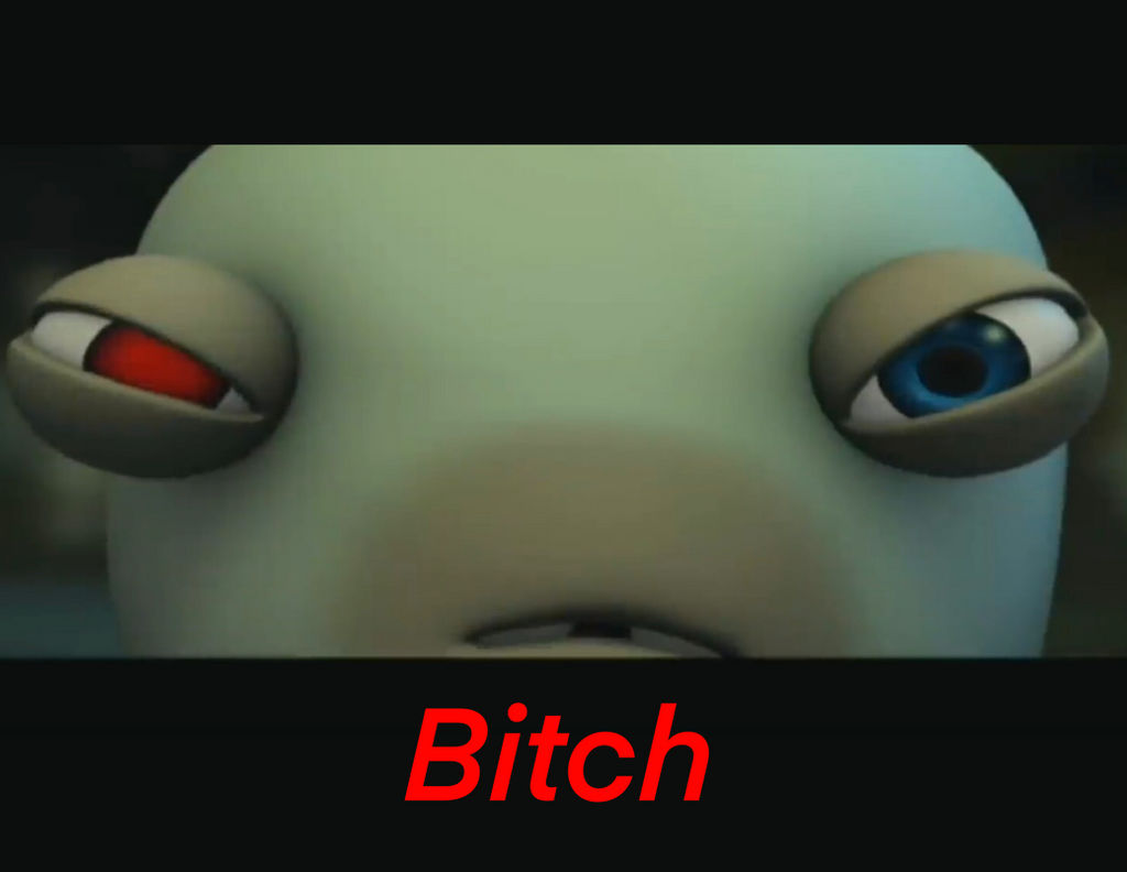 Rabbid Meme 3 by CinderHollow13 on DeviantArt