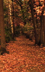 Corridor of Leaves