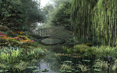 The Willow Pond