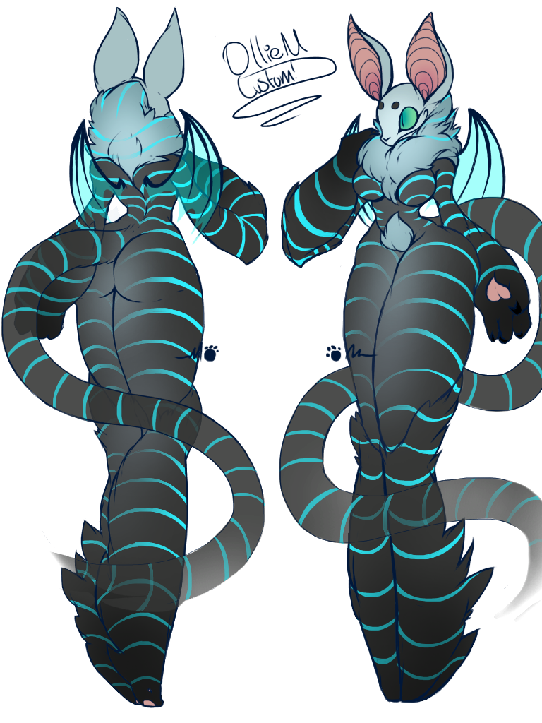 Custom for OllieM!