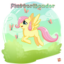 FlutterWonder