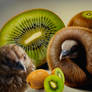 Kiwisiblings