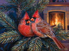 Couple Finds Refuge