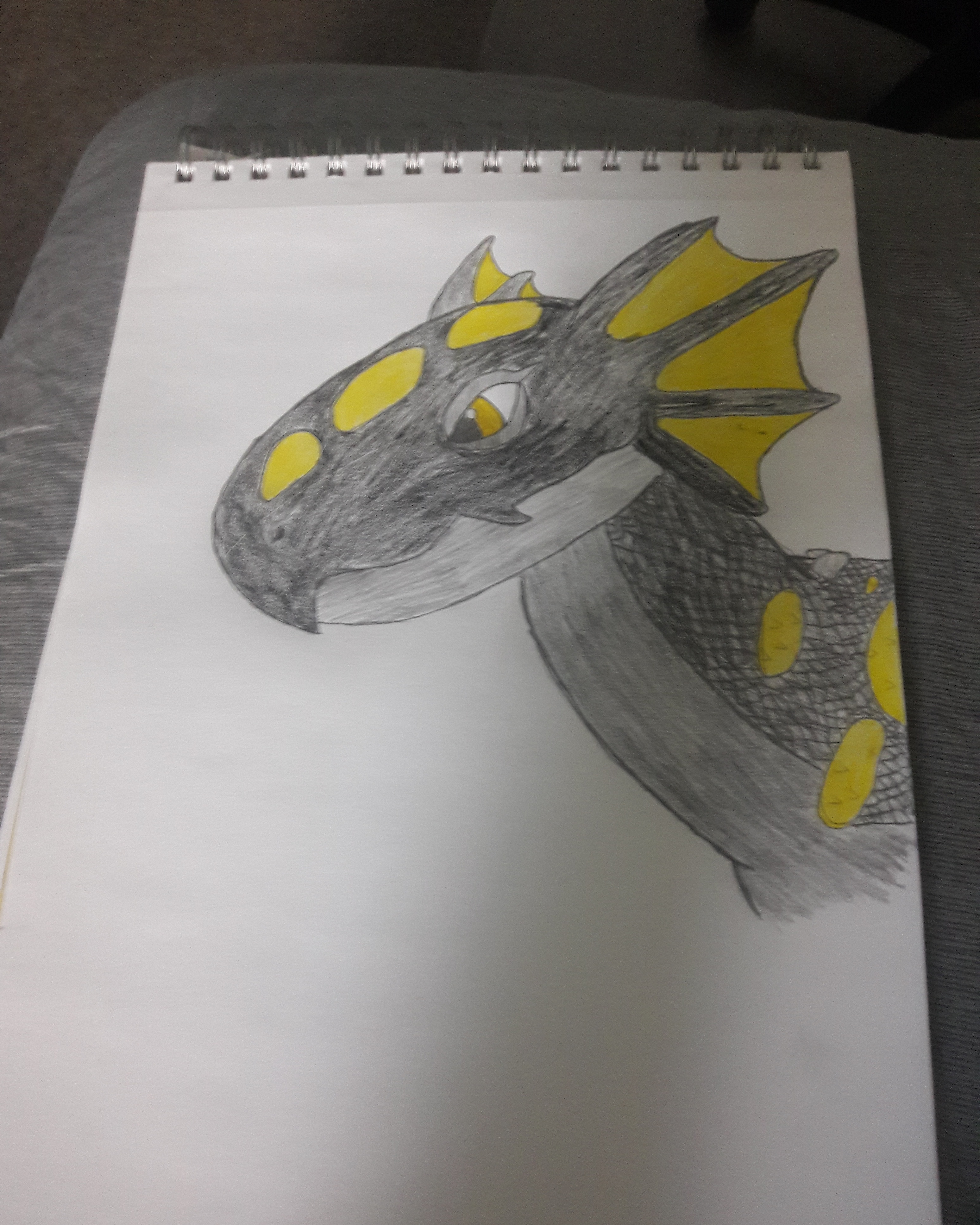 Salamander Dragon