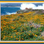 A burst of joyful colors for you