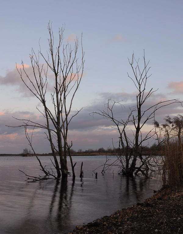 LONELY LAKE