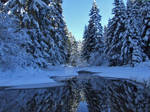 Tara mountain_07 by Neshom