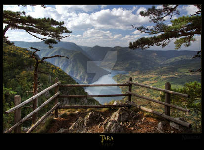 Tara - Banjska rock.