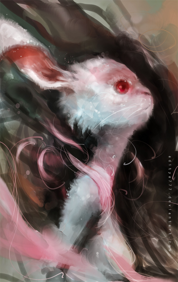 Rabbit by aditya777 on DeviantArt