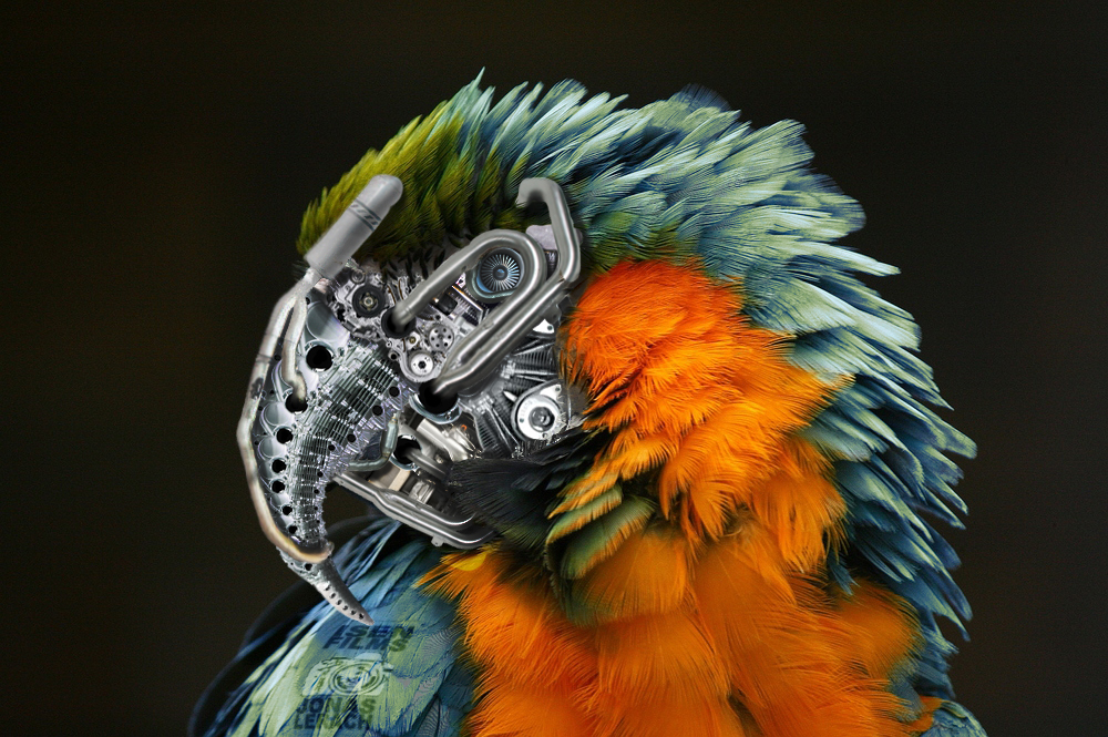 robotic parrot birdy