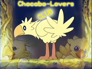Chocobo-Lovers ID Numbah 3 :D