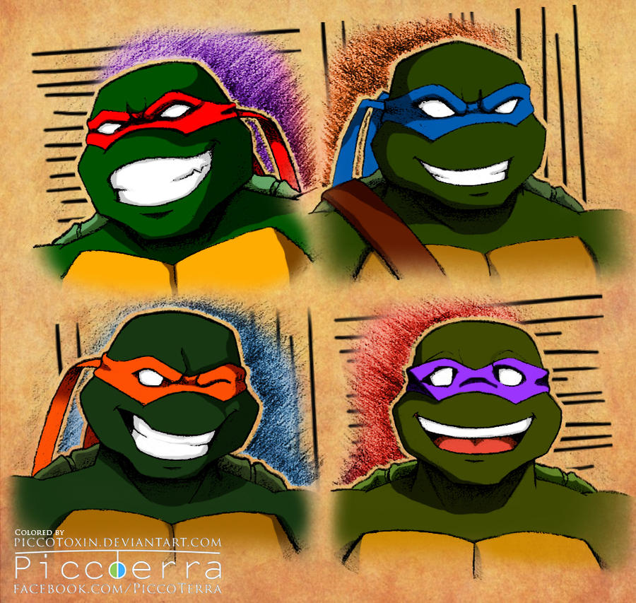 4 green ninja