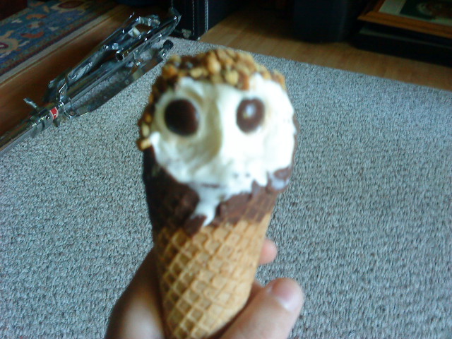 Ice Cream Owl