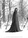 Snow Queen by Alt-Images