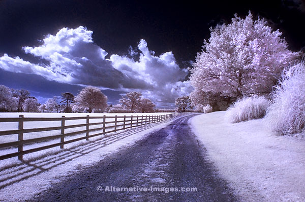 Infra Red Landscape