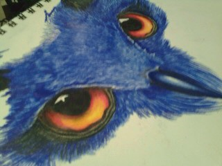 Colored Pencil Owl WIP