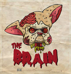 THE BRAIN