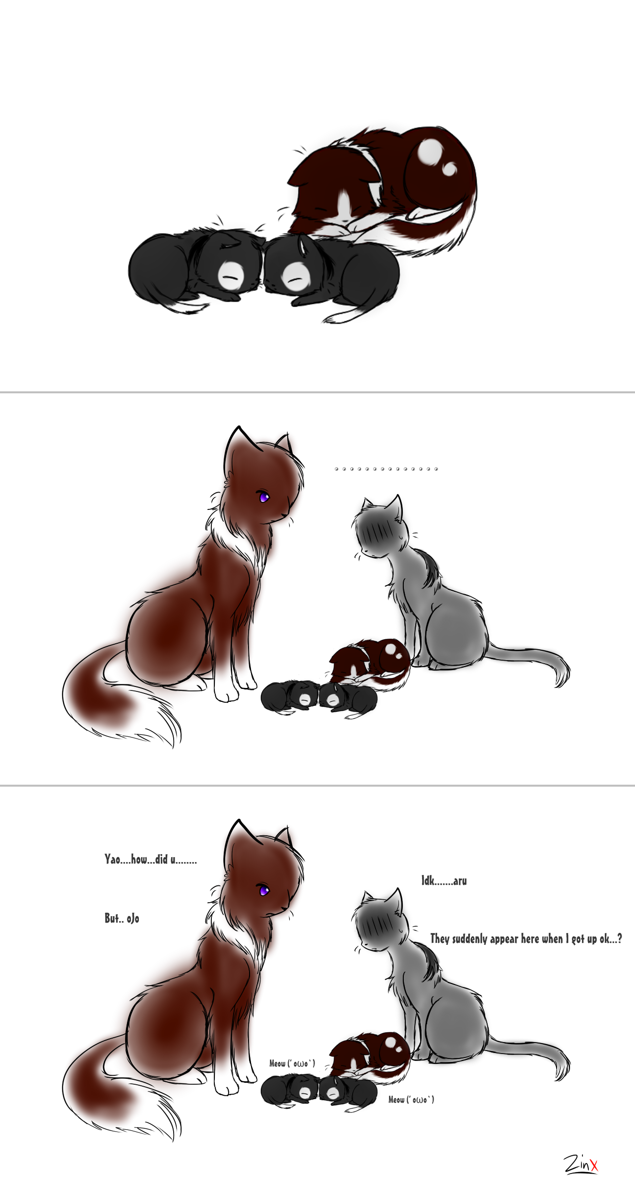 RoChu - Birth of kittens