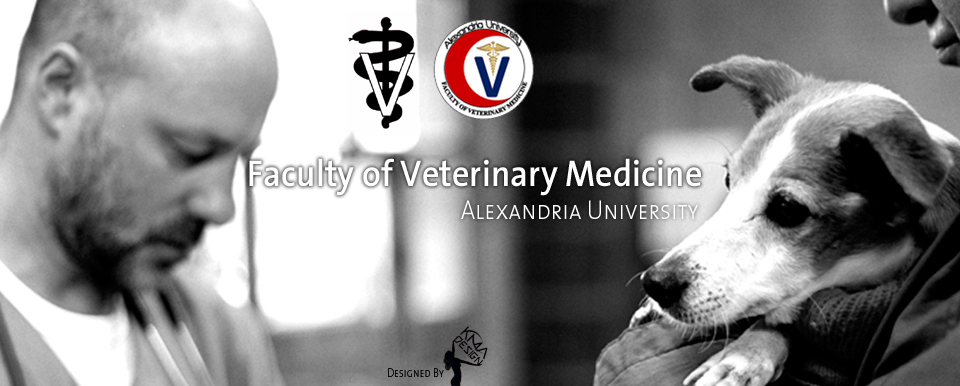 Faculty of Veterinary Medicine