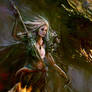 Dragon of War