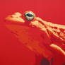 Red Frog