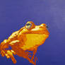 Orange purple frog display