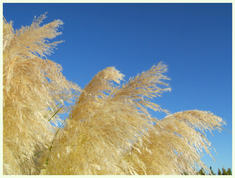 Patagonian colours I