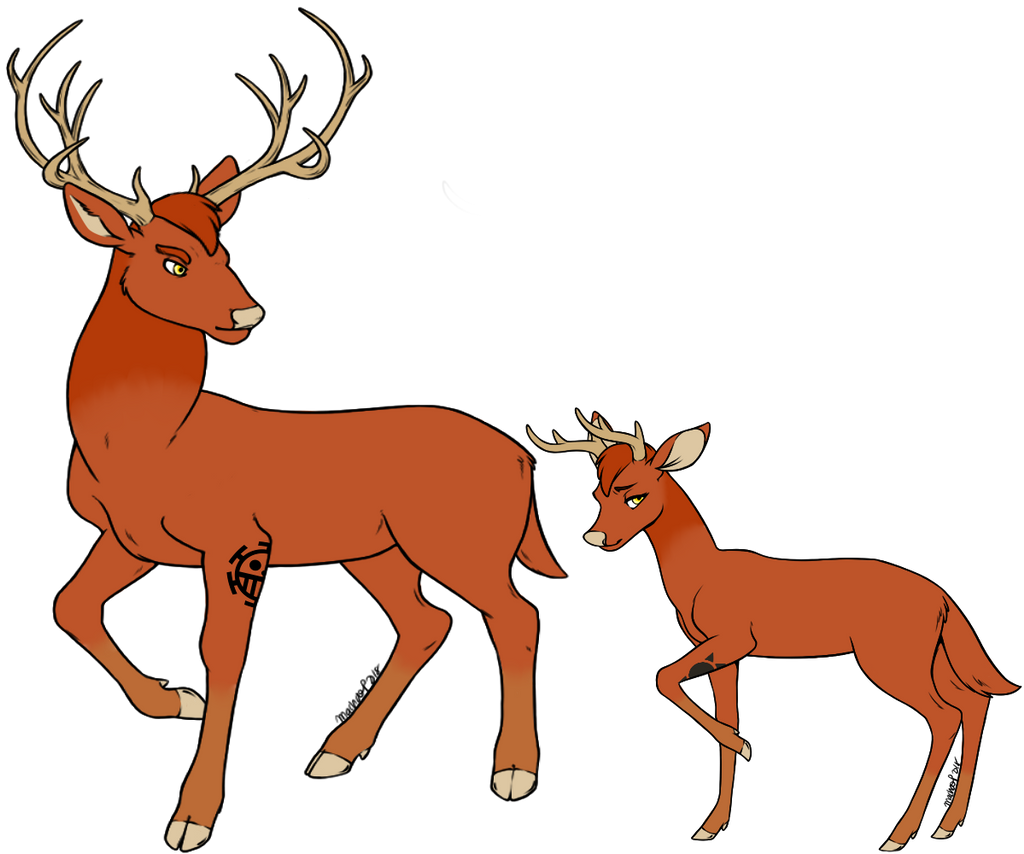 Rowan Hawk Form Rowan's Deer form by AshesWindchaser on DeviantArt