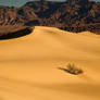 Death Valley ,