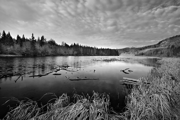Alaska shot in black and white by Brettc Alaska shot in black and white by Brettc