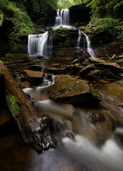 Ricketts Glen Park