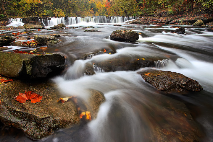 Touch Of Fall