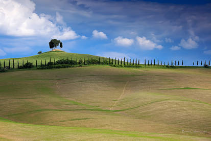 Hills Of Tuscany