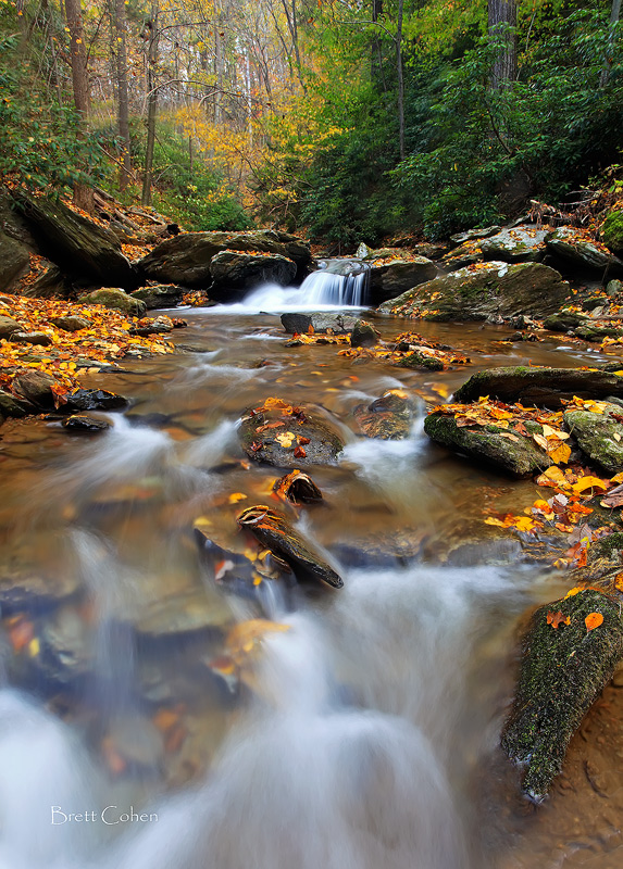 Around The Stream