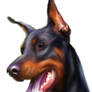 Digital painted Dobermann