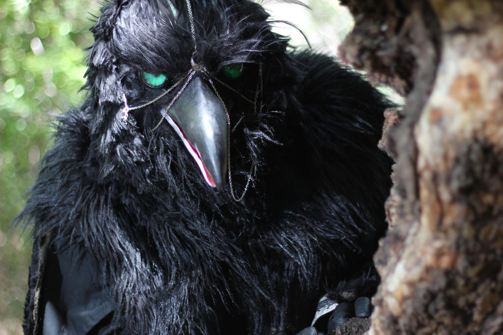 Vrana - Servant of the Crow by Dreadgnat