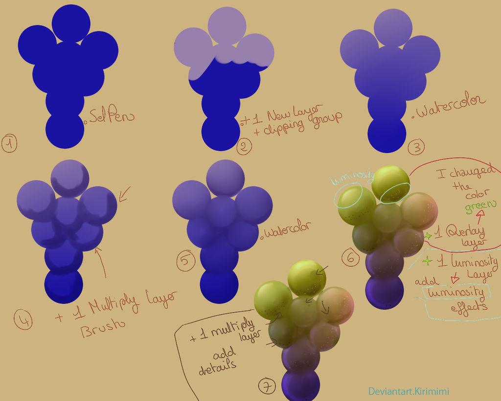 Grapes Tutorial SAI