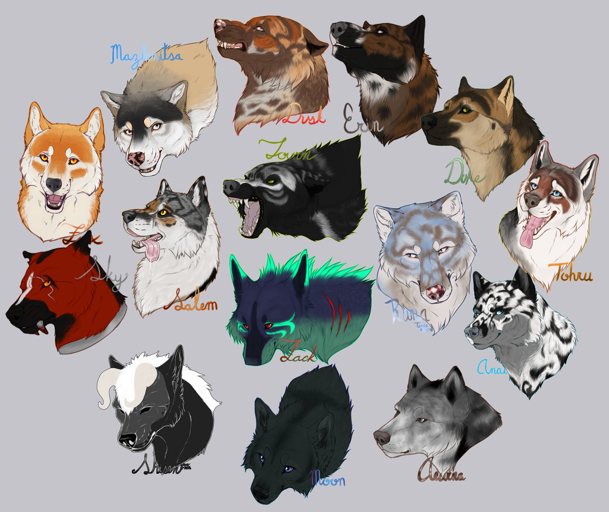 Wolvden Headshots by TenaciousDae on DeviantArt