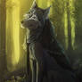 Kind clever wolf