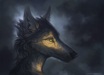 Sun through the clouds by WolfsECHO