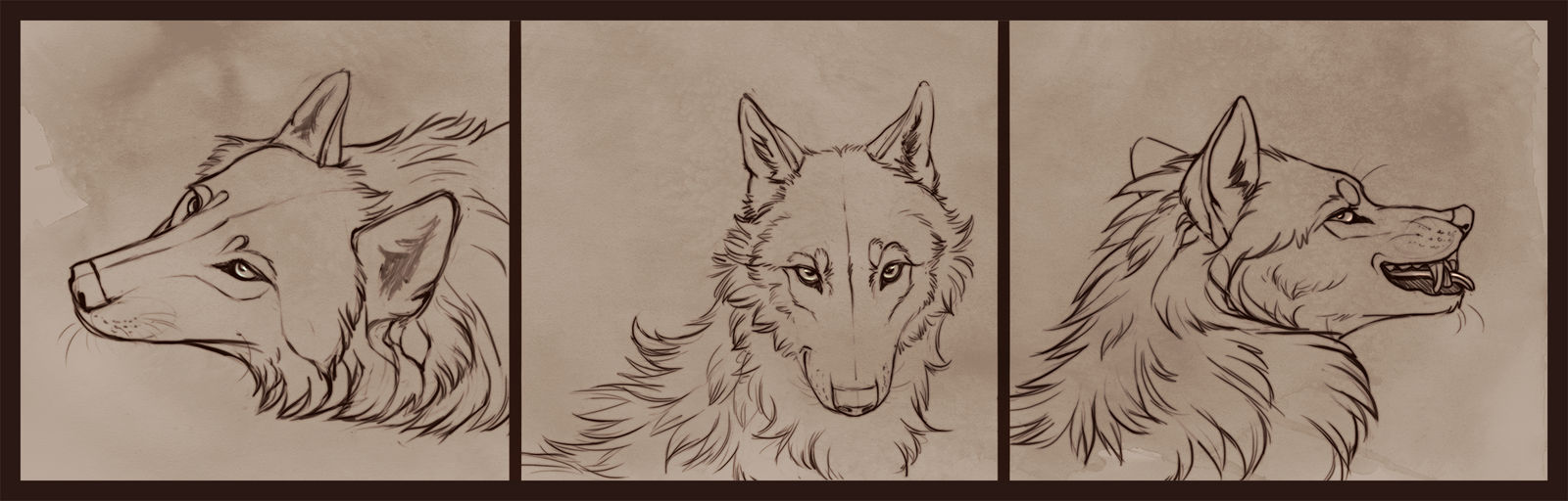 Wolf headshots. YCH auction {closed}