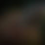 Mold666 AI redos