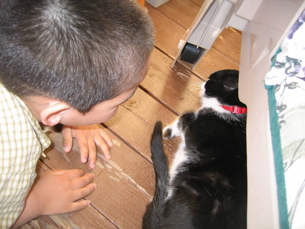 Kid and cat at play