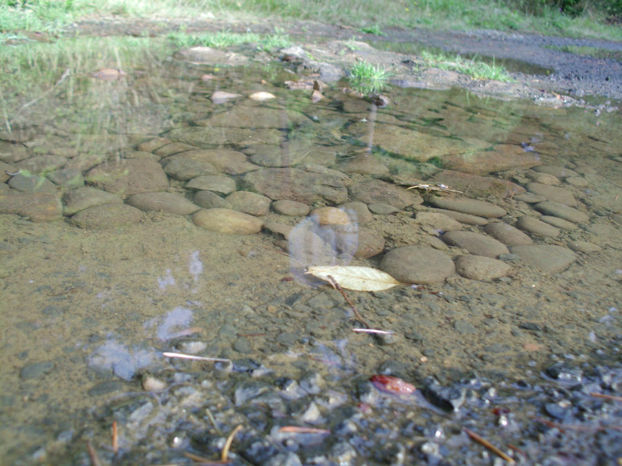 Pretty Puddle. 1 by Den12 on DeviantArt