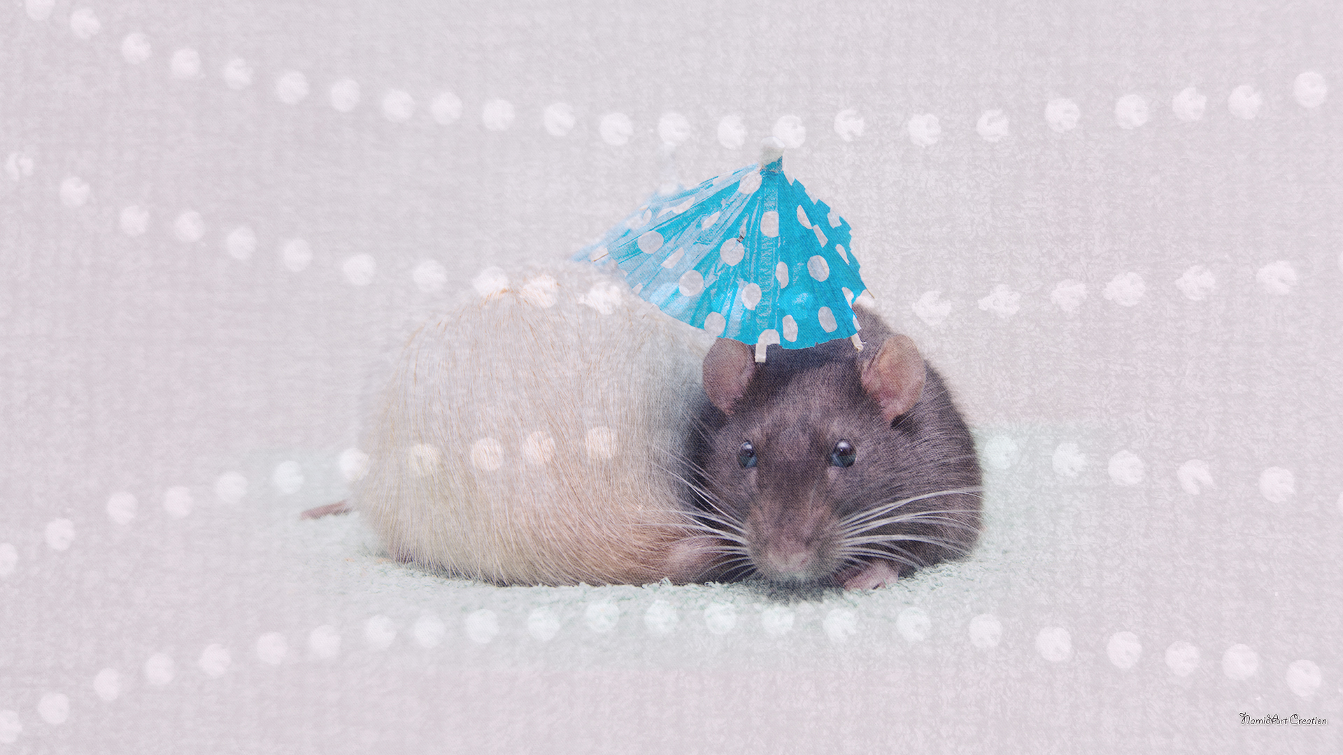 Rats wallpaper 1920 x 1080 by NamidArt on DeviantArt
