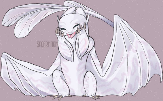 Shy Lightfury