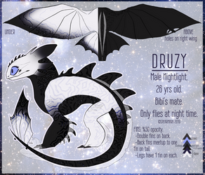 DRUZY reference sheet