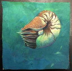 the nautilus