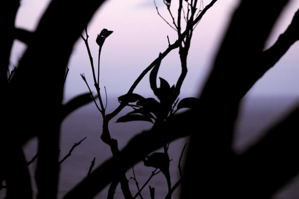 Invisible Sunset Hidden Sunset by J-Westwood on DeviantArt